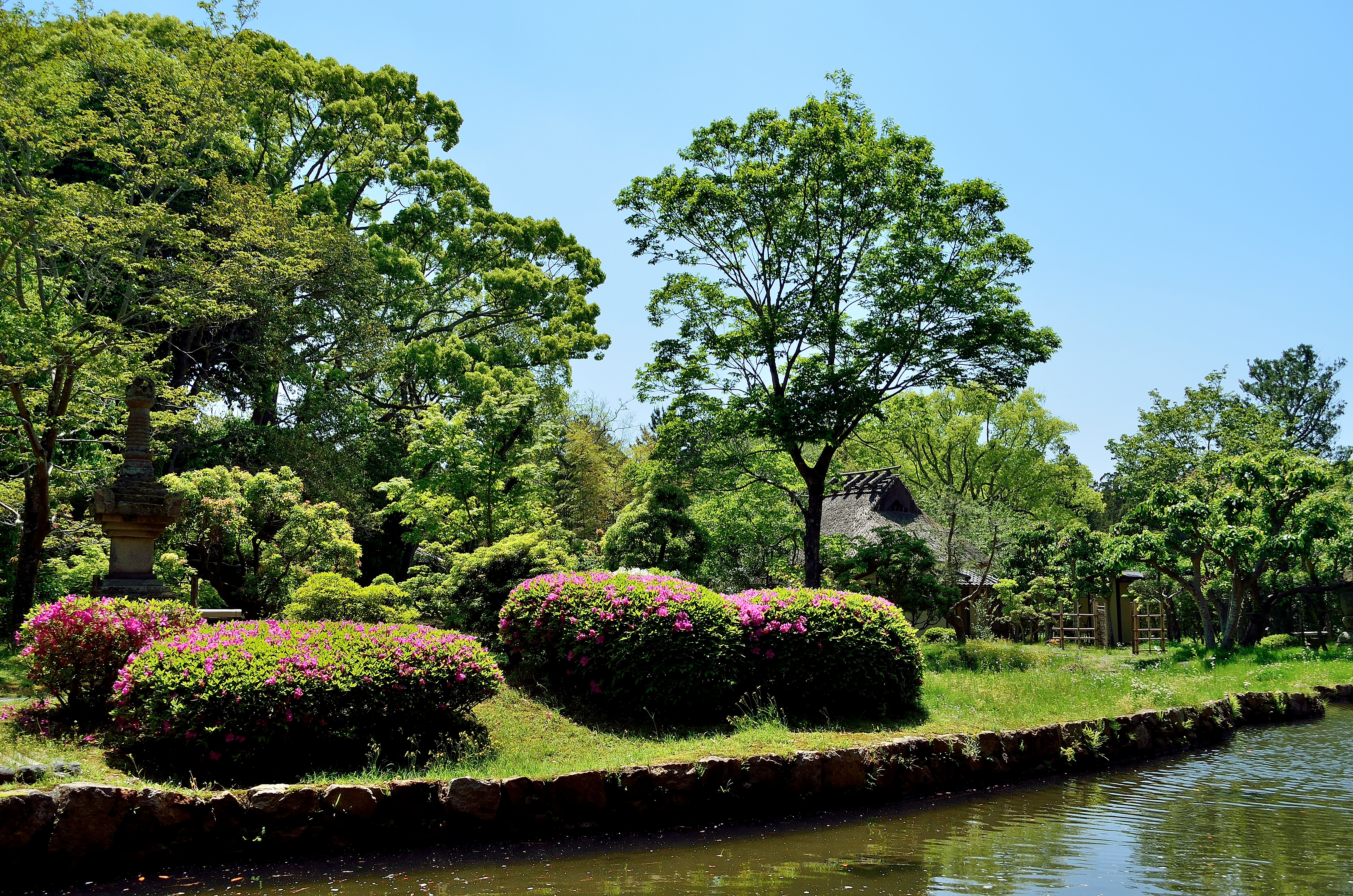 奈良国立博物館　庭園風景