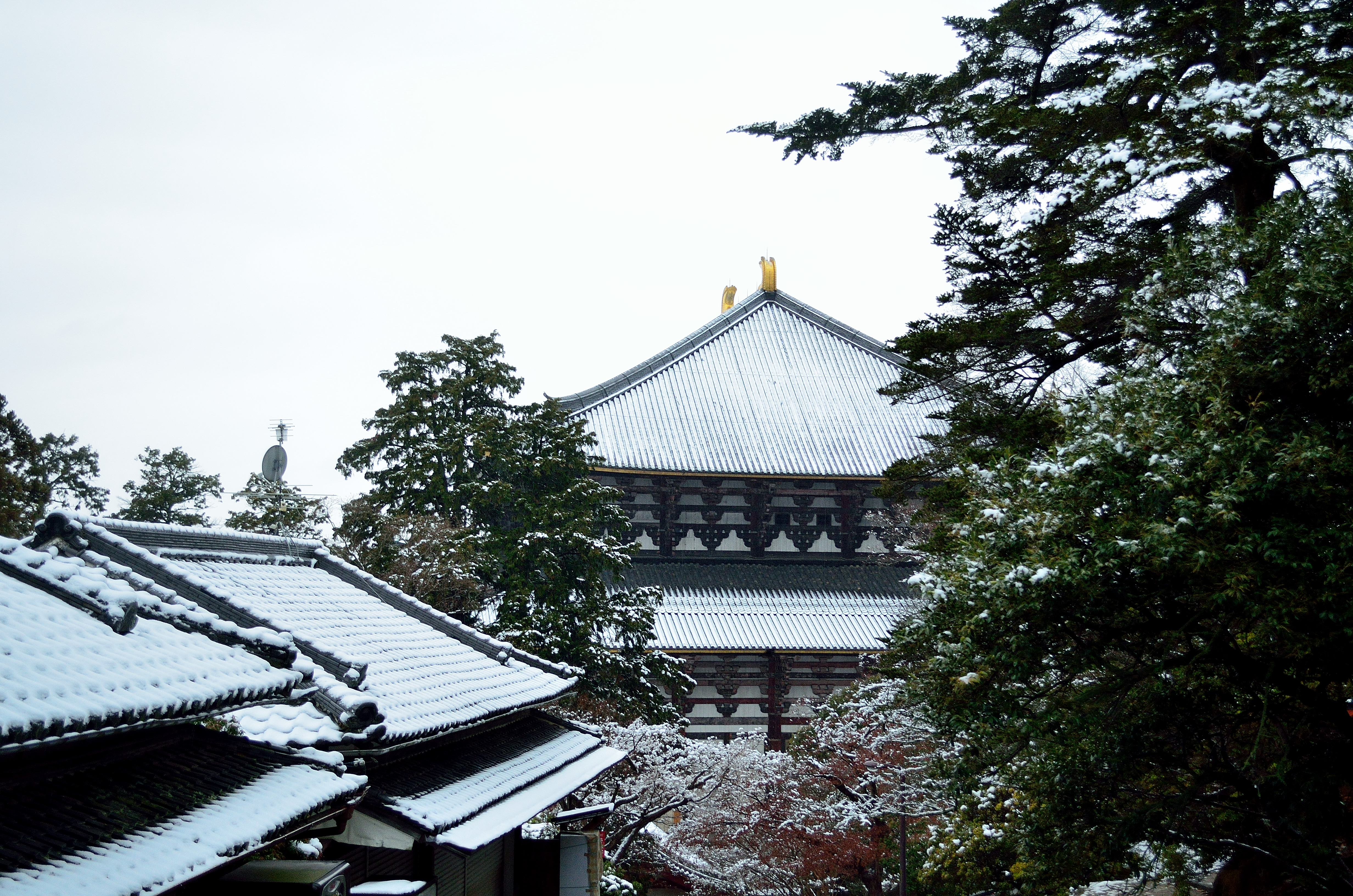 冬の東大寺大仏殿
