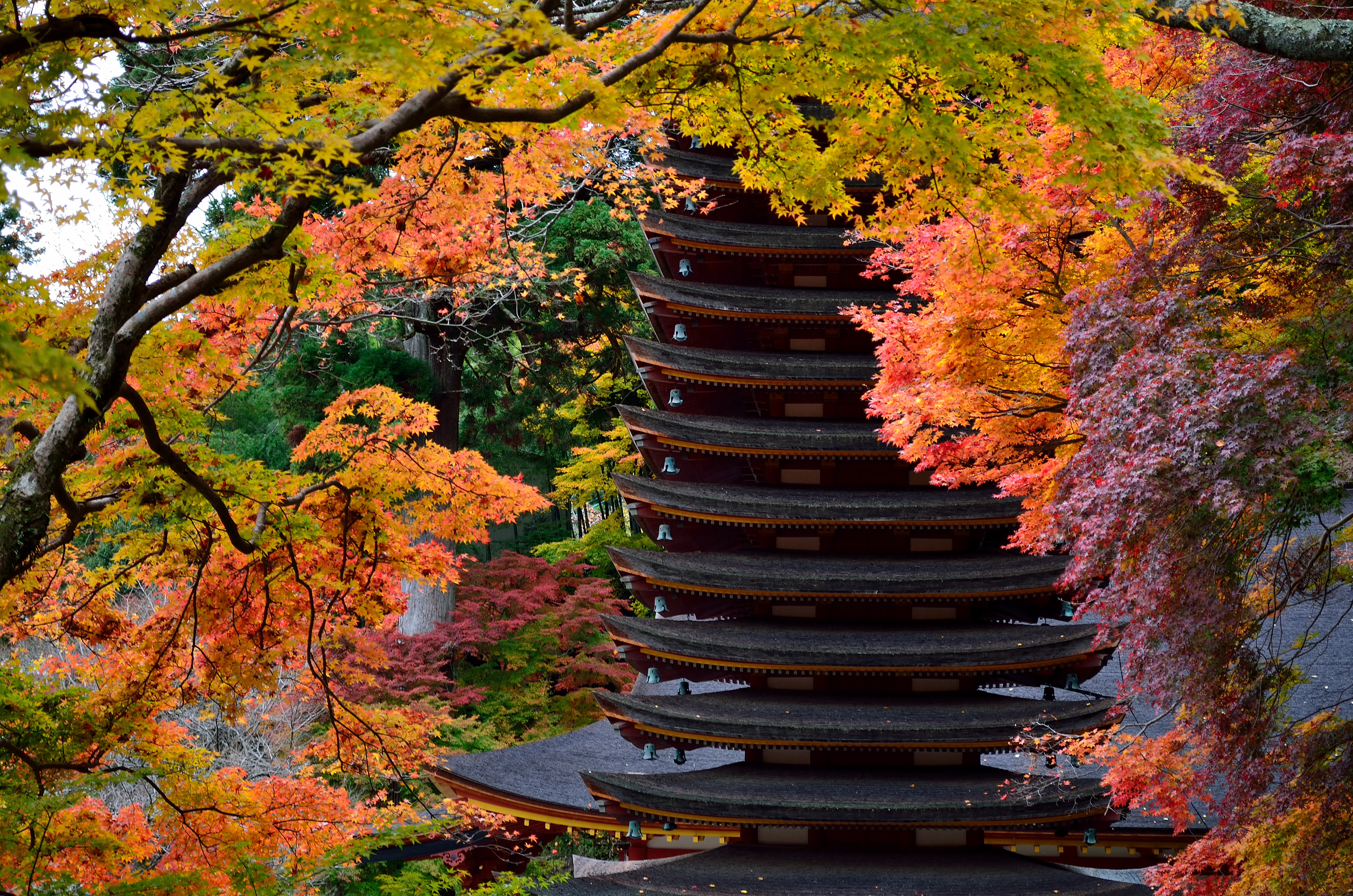 談山神社の十三重塔と紅葉