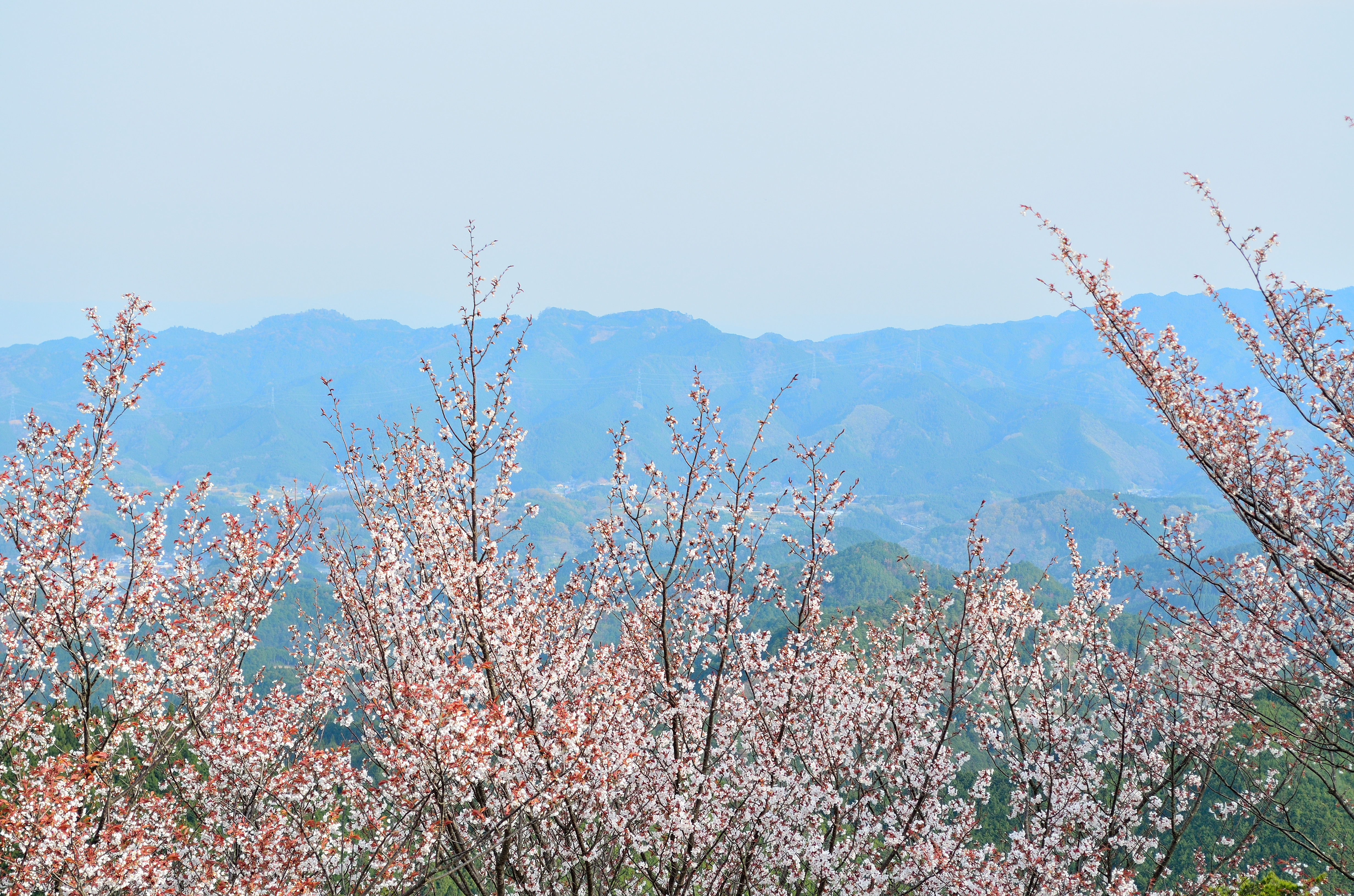 吉野山奥千本　高城山展望台からの眺望