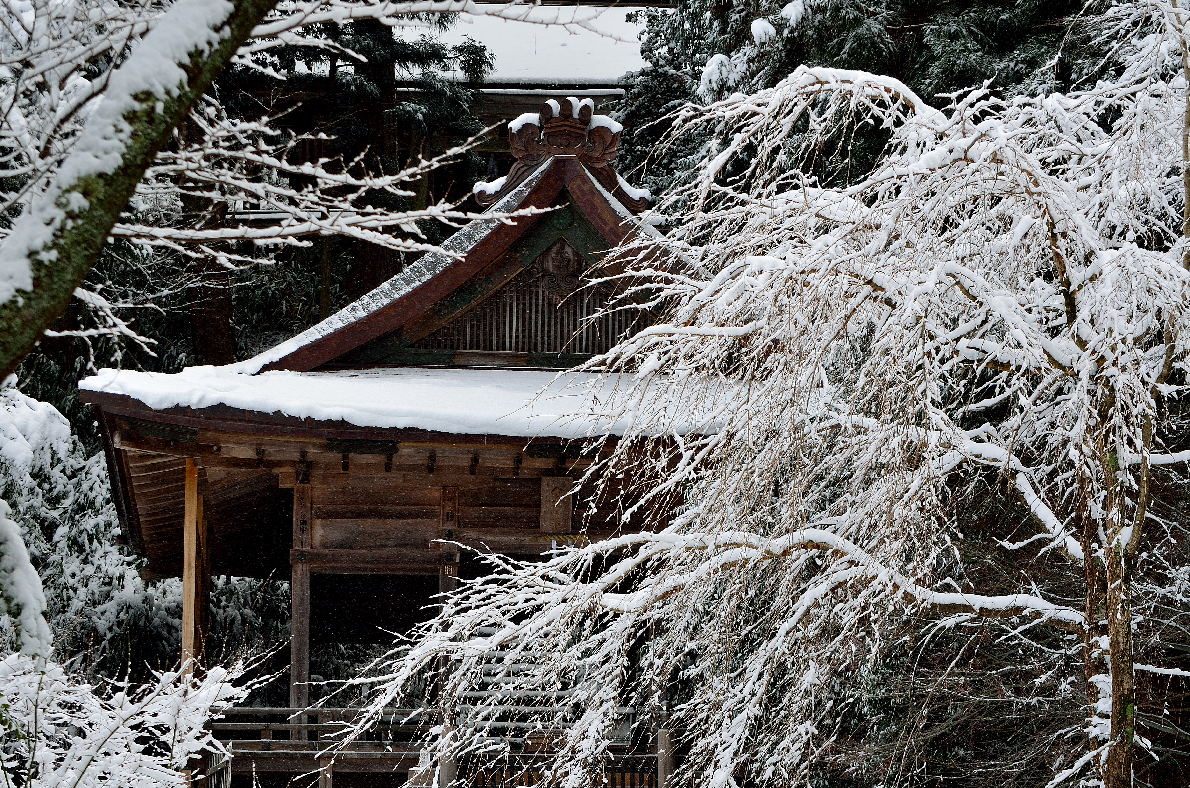 金峯神社雪景
