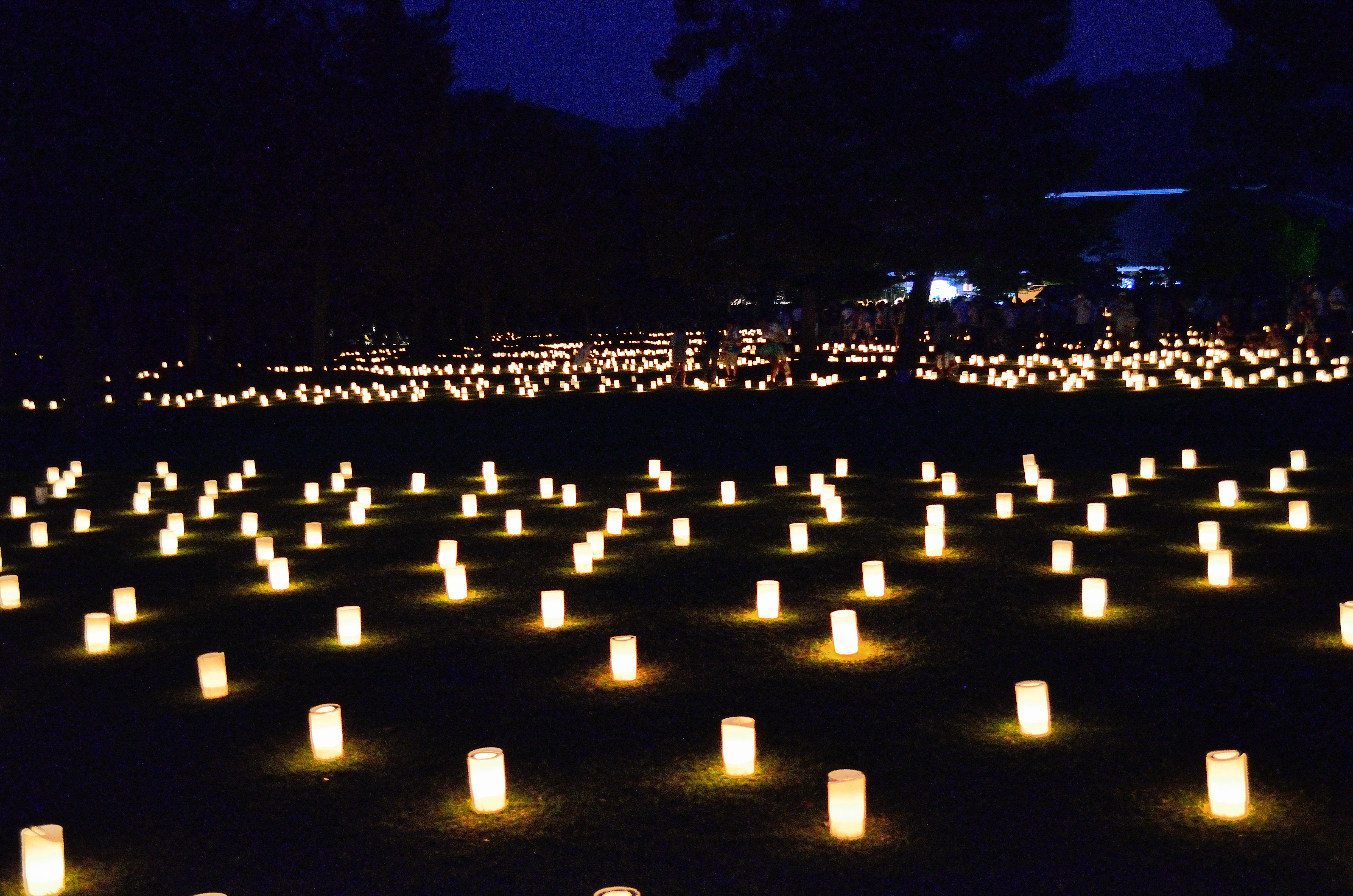 なら燈花会2013　浮雲園池の燈花風景