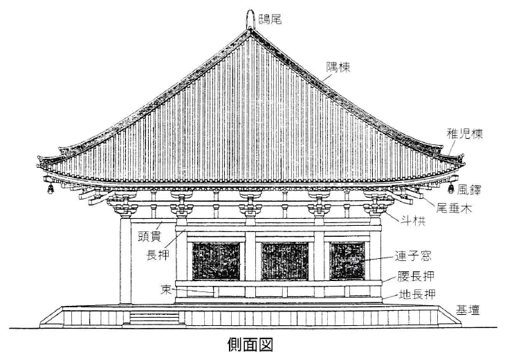 唐招提寺金堂　側面図